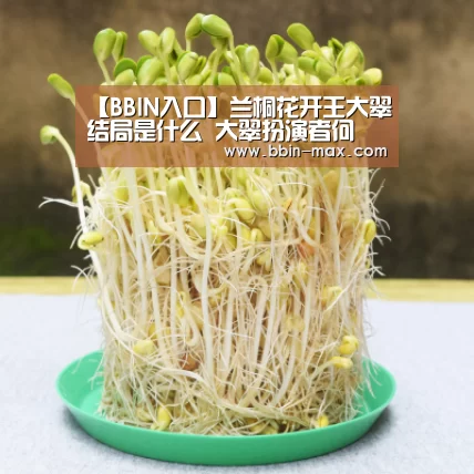 【BBIN入口】兰桐花开王大翠结局是什么 大翠扮演者何翯简历起底(图1) BBIN官网