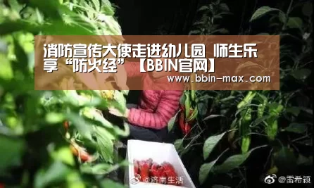 消防宣传大使走进幼儿园 师生乐享“防火经”【BBIN官网】(图2) BBIN入口