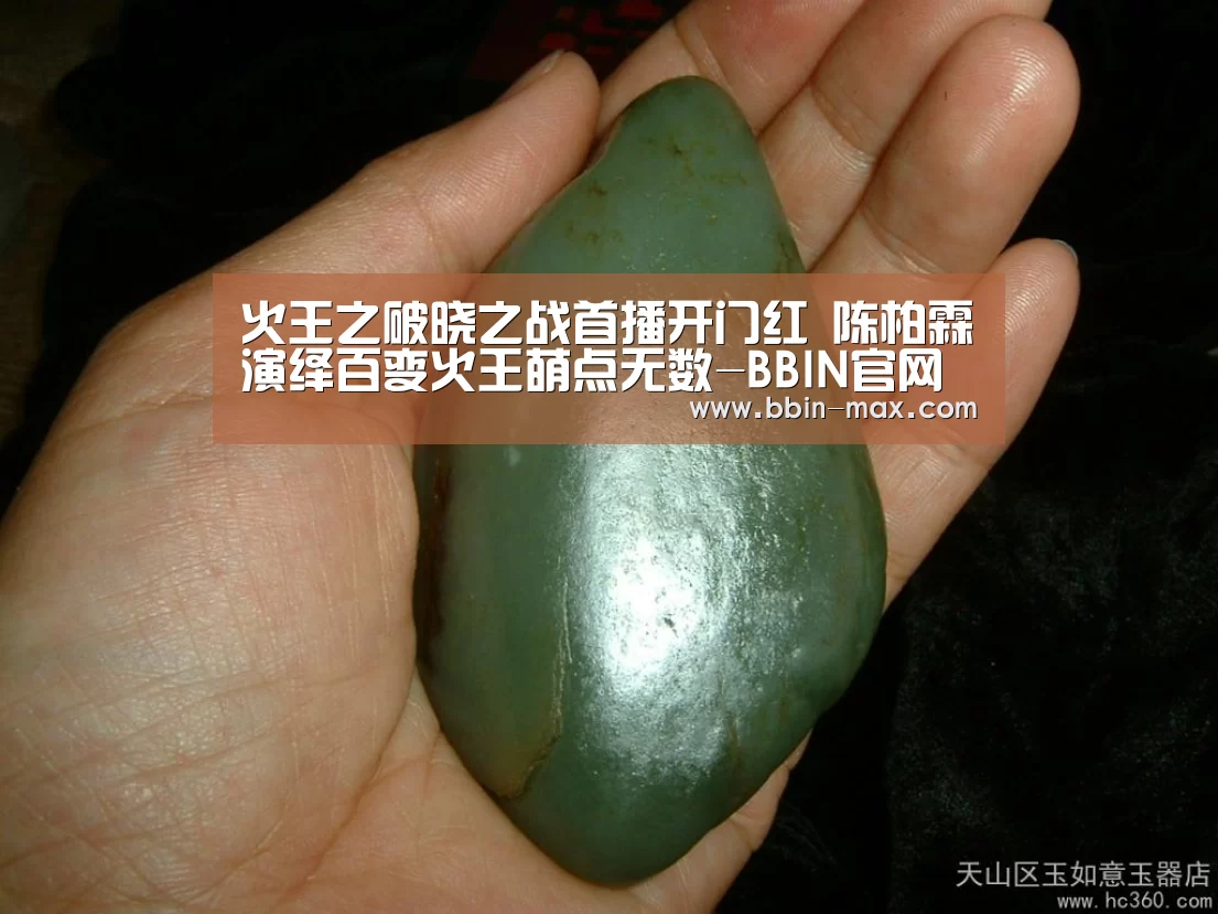 火王之破晓之战首播开门红 陈柏霖演绎百变火王萌点无数-BBIN官网(图4) BBIN入口